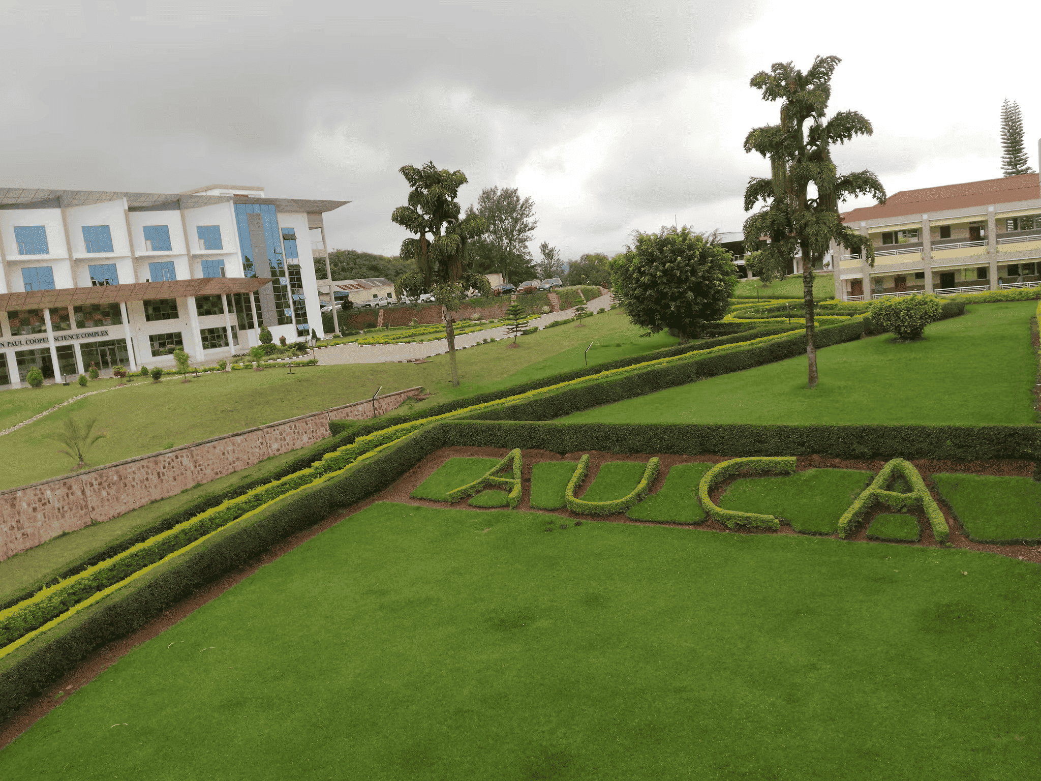 auca
